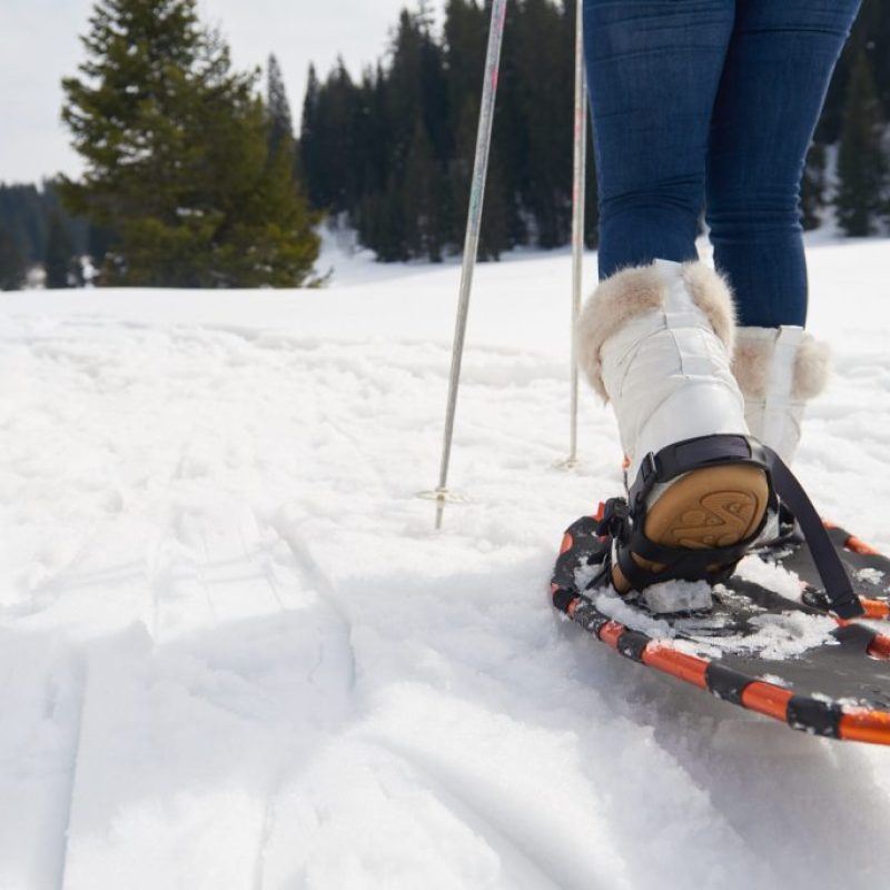 AdobeStock_94895940-scaled-1-1024x684